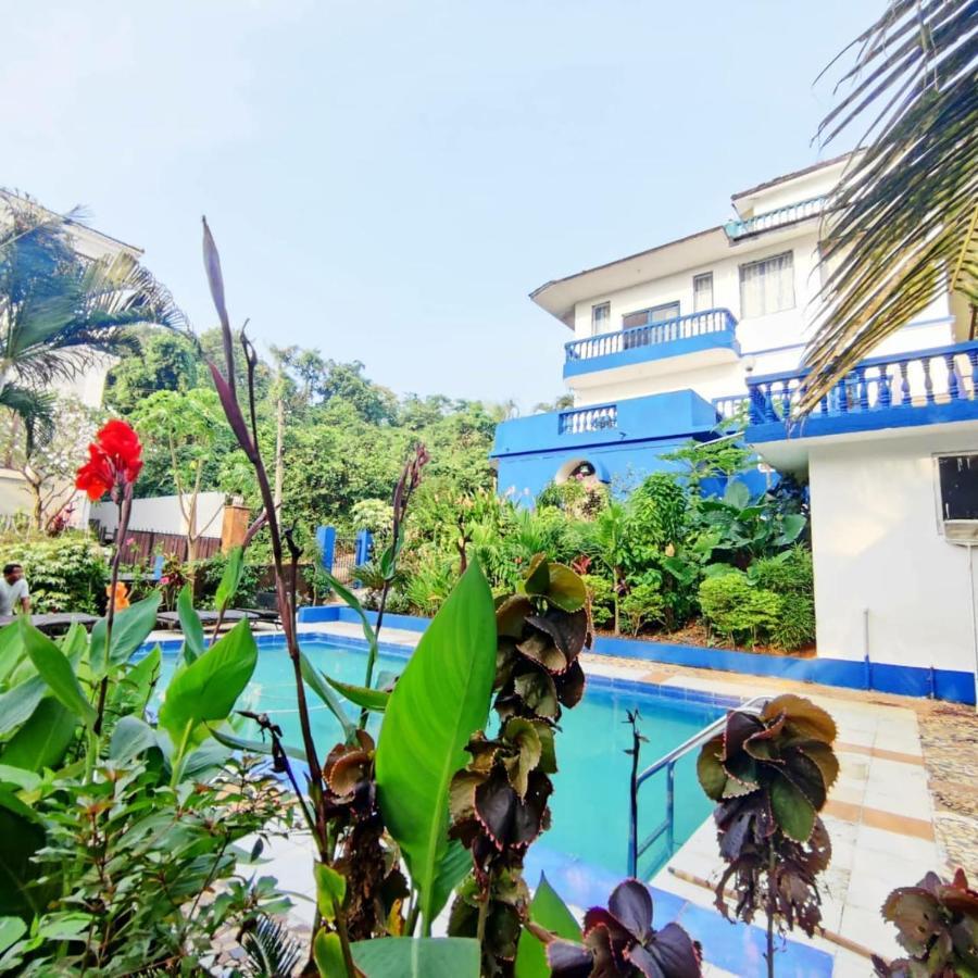 Amazing Hilltop 4 Bhk Villa With Private Pool Near แคนโดลิม ภายนอก รูปภาพ