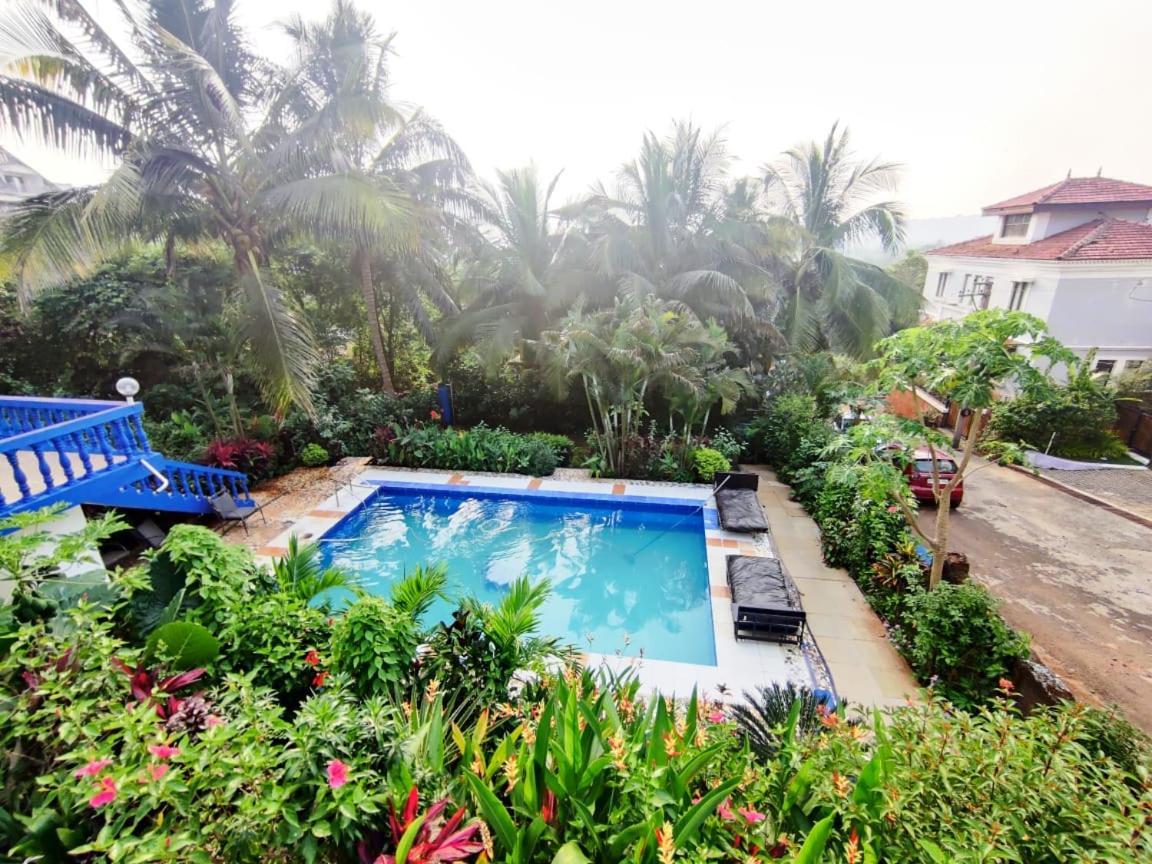 Amazing Hilltop 4 Bhk Villa With Private Pool Near แคนโดลิม ภายนอก รูปภาพ